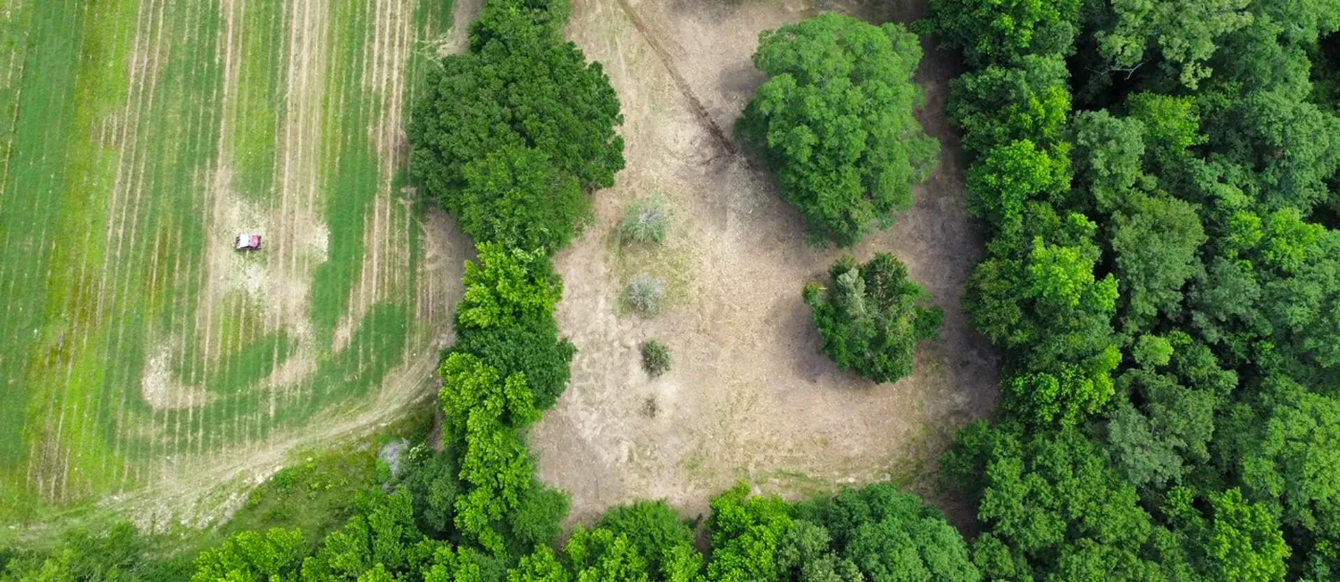 a cleared orchard from an aerial perspective