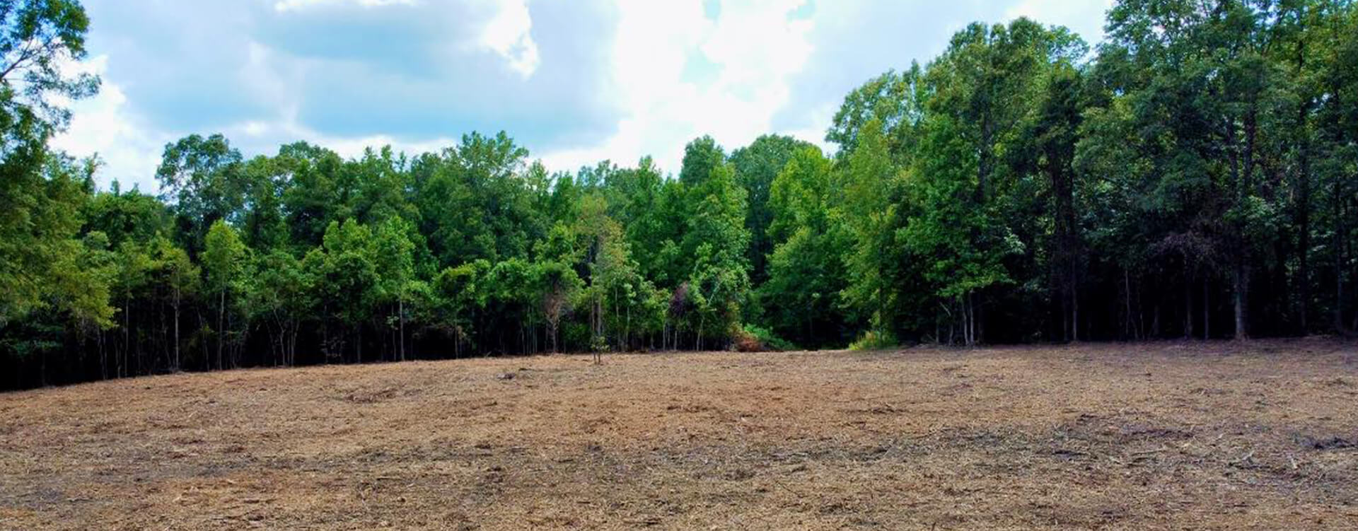 a cleared field after land clearing services