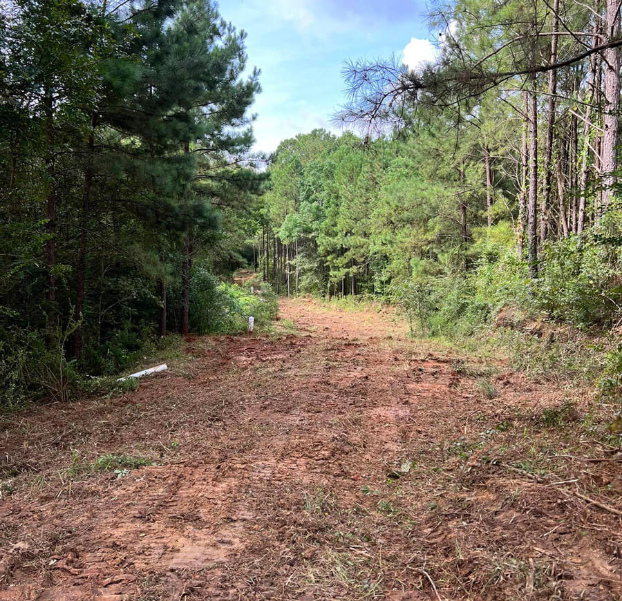 a path through some woods thanks to land clearing services 