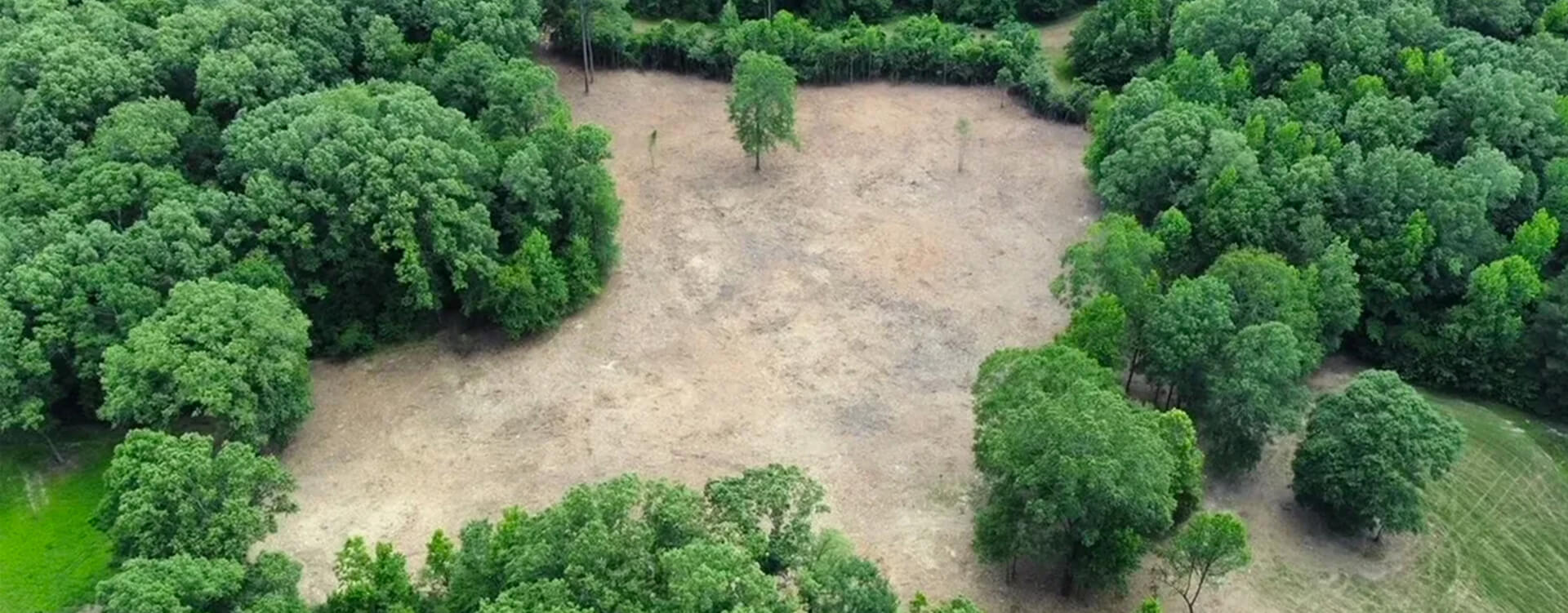 a cleared forest area after land clearing services